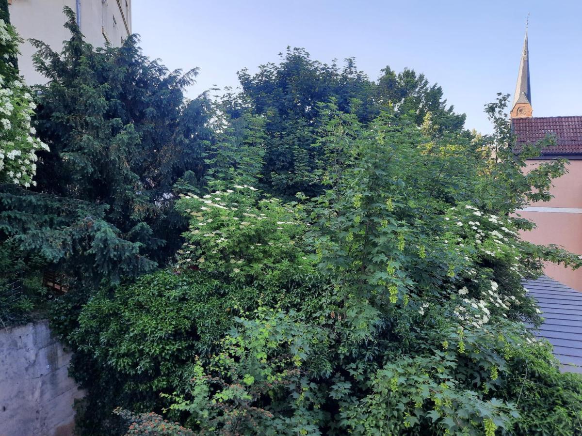 City Suite Gablenberg Stoccarda Esterno foto